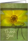 THANK YOU, YELLOW DAISY, GREEN TEXTURE, Blank card
