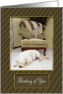 THINKING OF YOU - GOLDEN DOODLE - Home Setting - DOG card