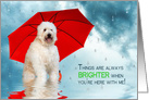 Miss You, Golden Doodle Dog Under Red Umbrella While Raining card