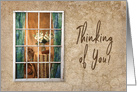 Thinking of You, View Through Old Weathered Window into Home, Blank card