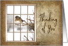 Thinking of You, View Through Old Window Small Bird on Branch card