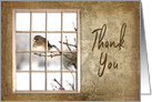 Thank You, View Through Old Window Small Bird on Branch card