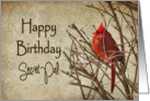 Birthday - Secret Pal - Red Cardinal - Branch - Textures card