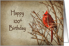 100th Birthday with Red Cardinal Perched on Branches card