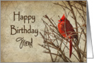 Birthday - Friend - Red Cardinal - Branch - Textures card