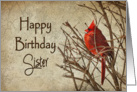 Birthday - Sister - Red Cardinal - Branch - Textures card