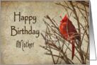 Birthday - mother - Red Cardinal - Branch - Textures card