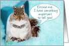 Announcement,Close-up of Cute Squirrel Eager to tell Important News card