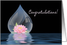 CONGRATULATIONS, LOTUS FLOWER IN DROPLET card