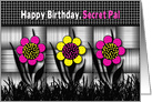Birthday, SECRET PAL, Colorful and Abstract Daisies on Black Patterns card