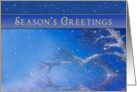 Season’s Greetings - Business/Company Holiday Card-Blue card