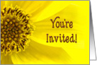 Sunflower - You’re Invited - Macro-Yellow card