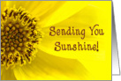 Sending Sunshine - Macro Yellow Flower - Bright card