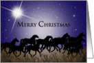 Christmas - Western - Horses in Moonlight card