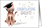 Congratulations Graduate,Kitty Cat,Cap and Stars card