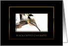 Black-capped Chickadee, Winter, Blank Card - Black/Gold card