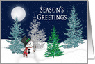 Christmas, Season’s Greetings - Night Snow scene with snowman card