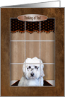 Thinking of You, Golden Doodle looking out Window card