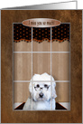 Miss You, Golden Doodle looking out Window card