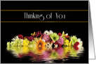 Thinking of You, Reflections of Colorful Flowers on black, Blank Card
