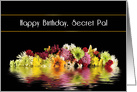 Birthday, Secret Pal, Reflections of Colorful Flowers card