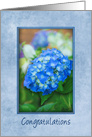 Congratulations Blue Hydrangea with 3D Effect within Soft Blue Frame card