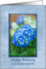 Secret Pal Birthday Hydrangea with 3D Effect within Soft Blue Frame, card