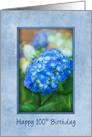 100th Birthday Hydrangea with 3D Effect within Blue Frame, Feminine card