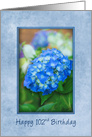 102nd Birthday Hydrangea with 3D Effect within Blue Frame,Feminine card
