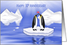 Wedding Anniversary 30th, Penquins in Love Floating on Ice in Artic card