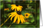 Birthday,Sister-in-Love, Bright Vivid Yellow Black-eyed Susan Daisy card