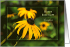 Birthday,Daughter, Bright Vivid Yellow Black-eyed Susan Daisy card