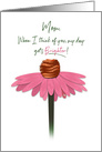 Birthday, Mom, Pink Cone Flower Isolated on White card