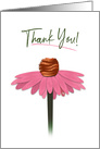 Thank You, Dainty Pink Cone Flower Isolated on White Background card