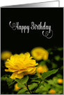 Birthday,Bright Yellow Full Bloom Rose,Black Background card