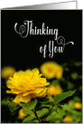 Thinking of You, Bright Yellow Full Bloom Rose, Blank Inside card