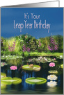 Leap Year Birthday, Lily Pond and Frog card