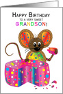 Happy Birthday, Grandson Says a Mouse in Kaleidoscope Collection card