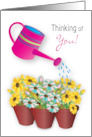 Thinking of You Watering Can and Pots of Daisy Like Flowers card