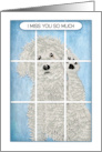 I Miss You White Goldendoodle Graphic Dog With Paw on Window card
