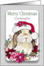 Christmas Granddaughter Bunny Santa Hat Poinsettias Berries card
