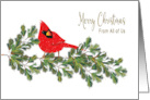 Christmas From All of Us Red Northern Cardinal on Pine Branches card