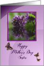 Mother’s Day, Sister, Wisteria Purple Flowers,Butterflies, reflection card