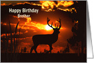 Birthday, Brother, Silhouette of deer at sunset card