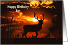 Birthday, Son, Silouhette of deer in sunset card