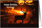 Birthday, Son In Law, Silhouette of Deer at Sunset card