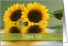Thank You, Sunflowers and their Reflectons in Water, Blank card