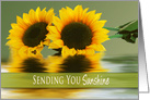 Get Well,Sending Sunshine, Sunflowers and their Reflections card