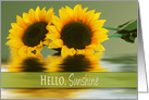 Hello Sunshine, Sunflowers and Reflections, Blank card