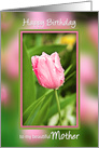 Birthday, Mother, Pink Tulip in Garden After the Rainfall card